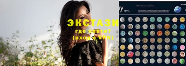 стаф Алзамай