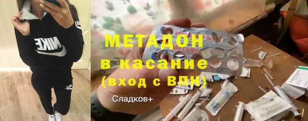 стаф Алзамай