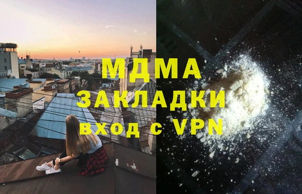 стаф Алзамай