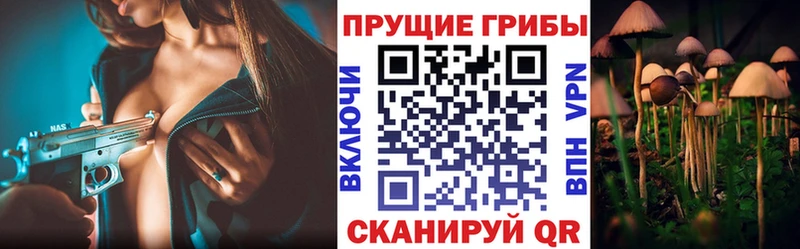 Галлюциногенные грибы Cubensis  Кувшиново 
